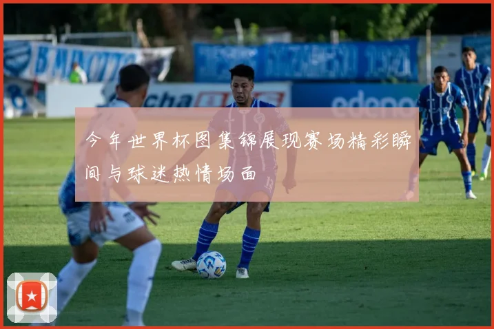 今年世界杯图集锦展现赛场精彩瞬间与球迷热情场面