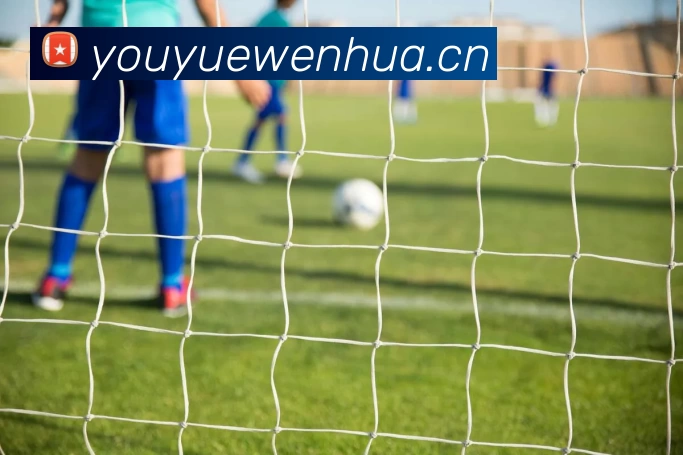 米兰app官网登录入口(中国)有限公司 - 官网APP 体育赛事宣传图